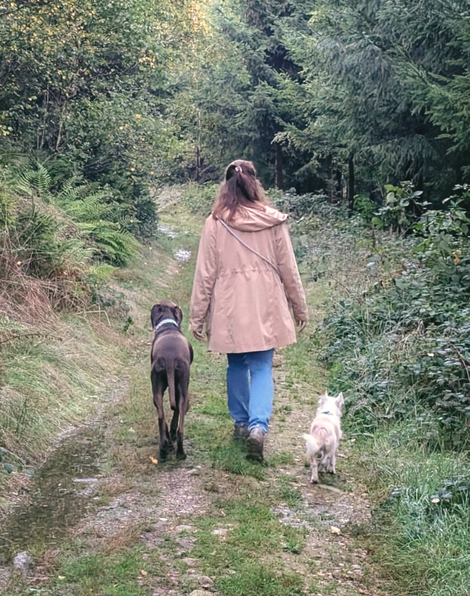 Frau geht mit Hunden spazieren