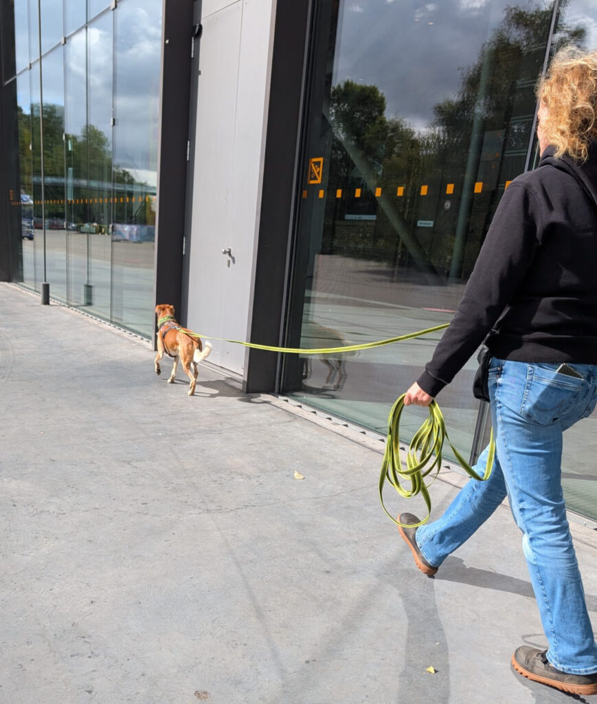 Frau und Hund gehen spazieren