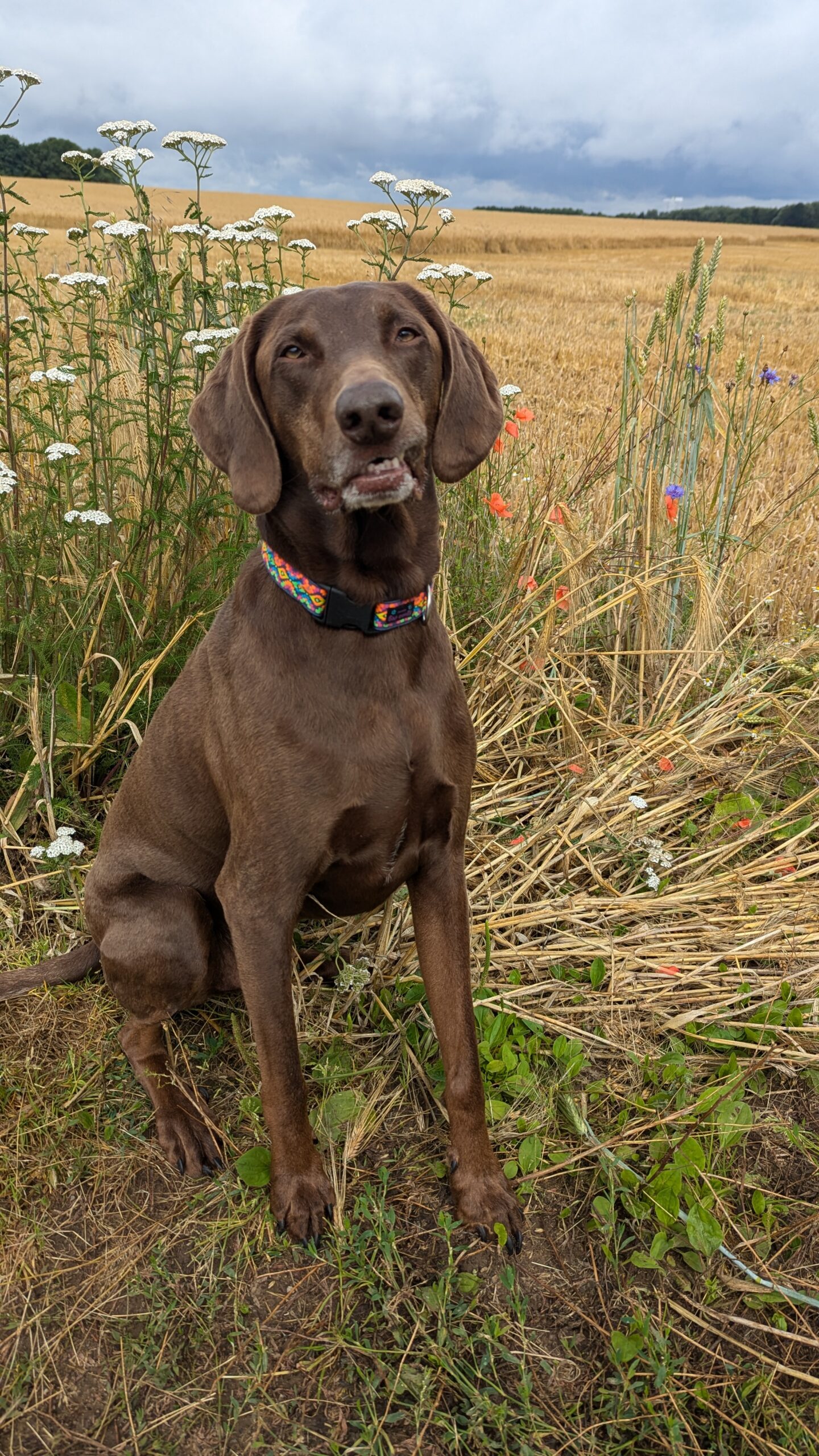 PXL 20240702 082109045 Scaled