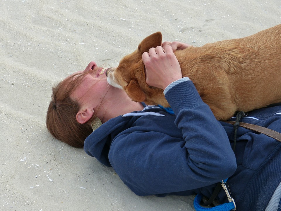 Hunde vom Tierschutz Klllll