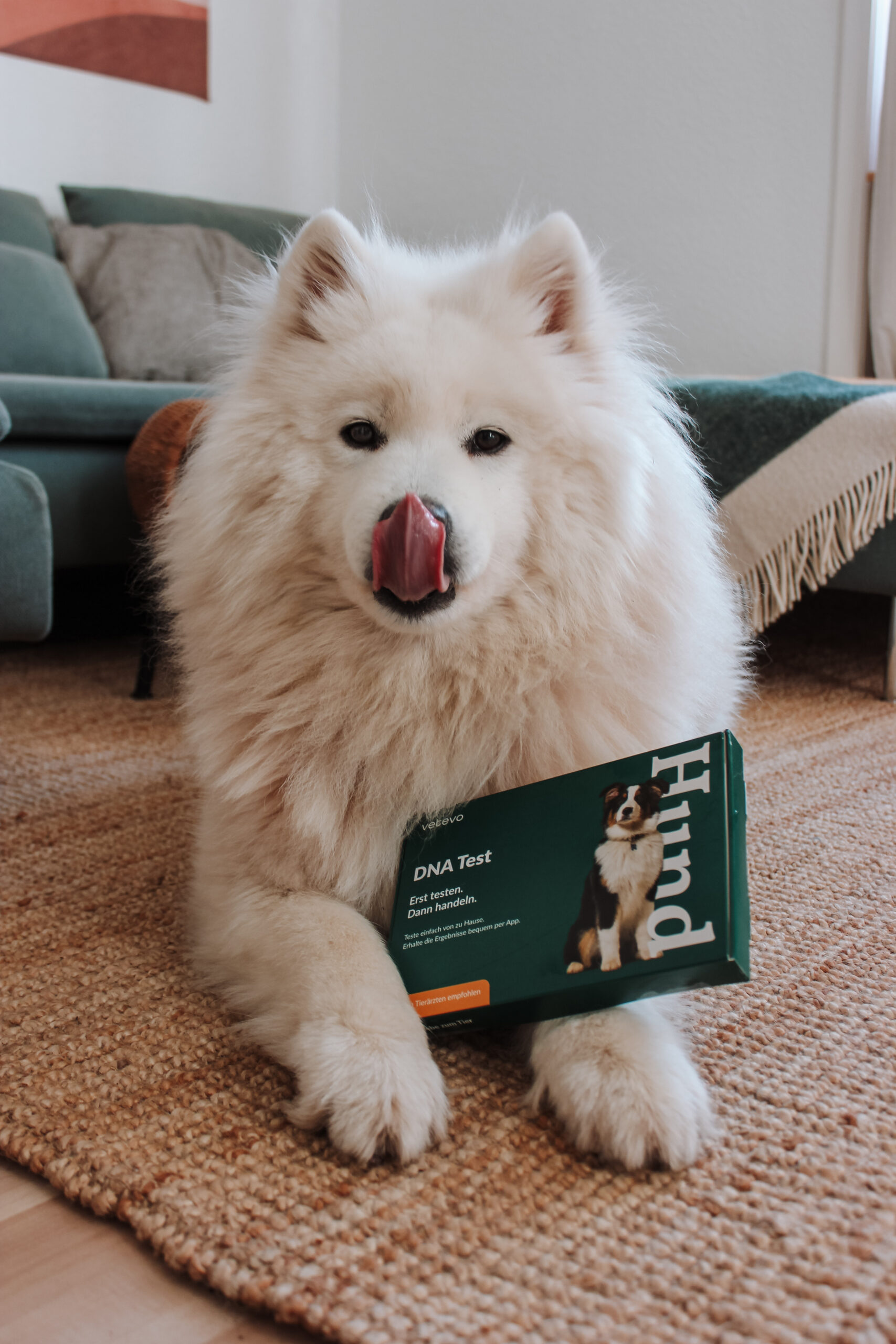 DNA Test Lifestyle Bild 1 Scaled