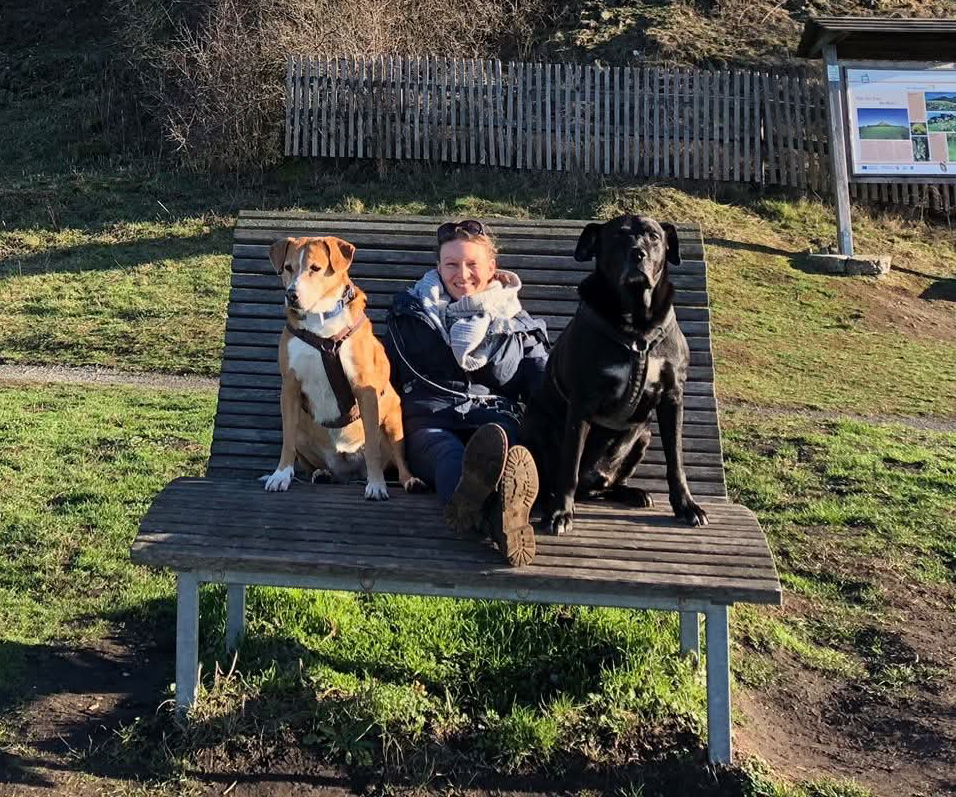 Zwei Hunde und Person auf Bank