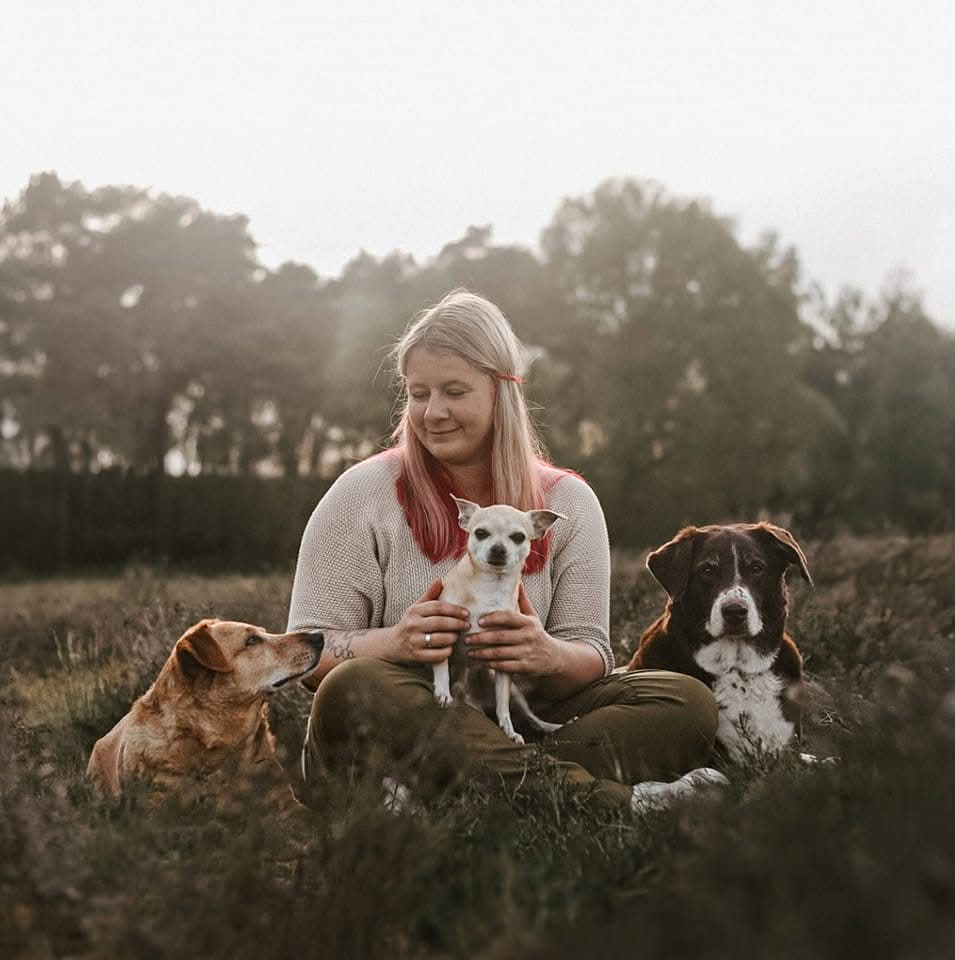 whatsapp image 2026 03 02 at 08.41.05